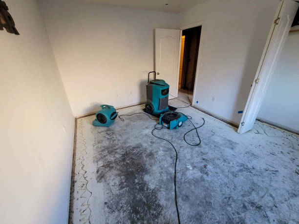 Best Water damage restoration near me  in Wilmington, OH