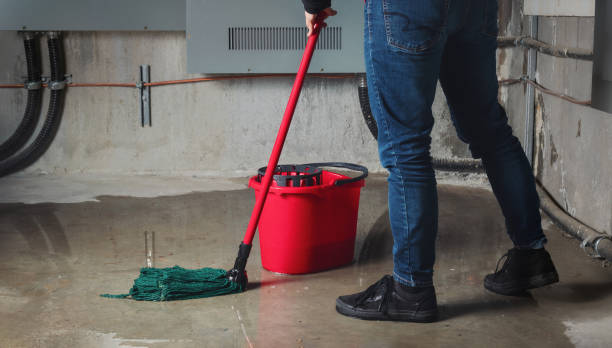 Best Carpet water damage restoration  in Wilmington, OH