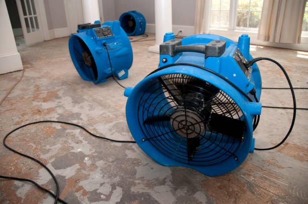 Best Residential water damage restoration  in Wilmington, OH