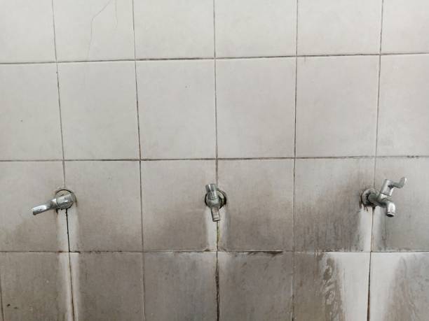 Best Commercial water damage restoration  in Wilmington, OH
