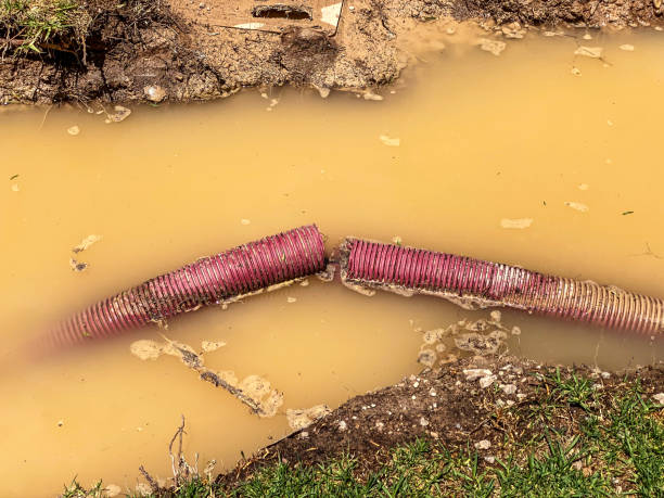Best Water damage contractors near me  in Wilmington, OH